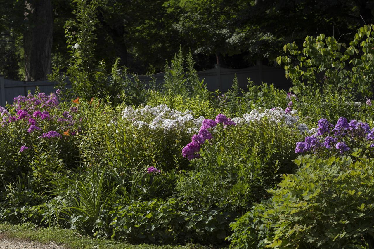 Staveleigh House Bed And Breakfast Sheffield Exterior photo
